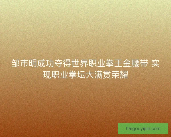 邹市明成功夺得世界职业拳王金腰带 实现职业拳坛大满贯荣耀