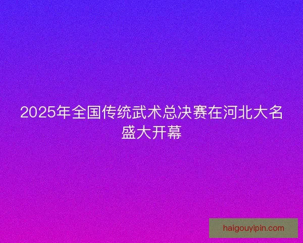 2025年全国传统武术总决赛在河北大名盛大开幕 2025年全国传统武术总决赛在河北大名盛大开幕